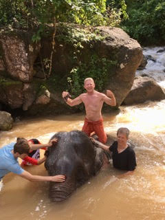 Tom Thailand Elephant